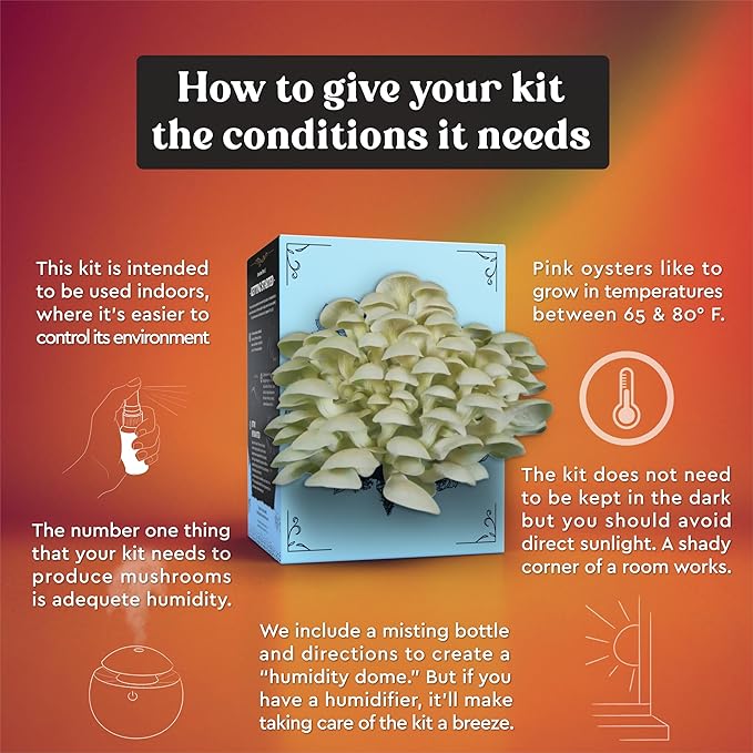 Oyster Mushroom Grow Kit | USDA Certified Organic | Grow Your Own Delicious Gourmet Mushrooms at Home