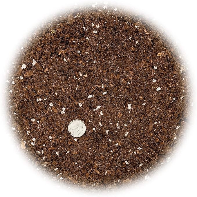 Premium Bamboo Potting Soil Mix - (10 Quart Bag)