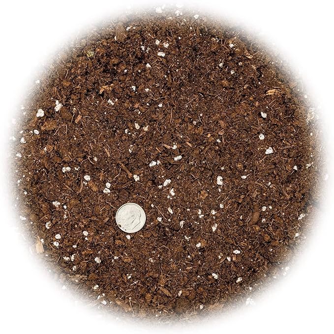 Citrus Tree Potting Soil Mix - 20 Quart - Special Blend for Indoor Oranges, Lemons, Limes and More - (4 Bags of 5 Quart)