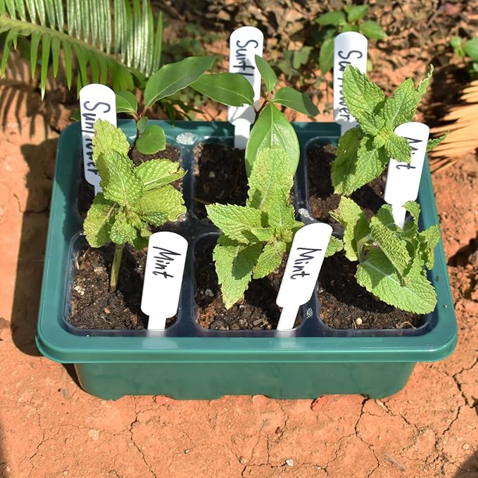 Artcome 10-Pack Seed Starter Tray - 6 Cells Each with Push-Up Ejector - Seed Starter Kit for Rapid Growth and Healthy Seedlings at Home - 30 Cells in Total