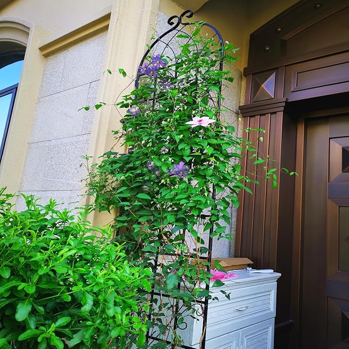 6 Pack Metal Garden Trellis 86.7" H Garden Fence Rustproof Trellis for Climbing Plants Support Roses Flower Outdoor Lawn, Black 7.2FT Tall