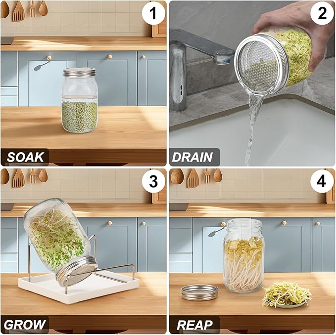Lulonpon Sprouting Kit, 4 Sprouting Jar Kits, Wide Mouth Quart Mason Jars with Stainless Steel Screen Sprout Lids,1000ml Sprouts Growing Kit, Seed Sprouter Set for Growing Broccoli, Bean, Alfalfa ﻿
