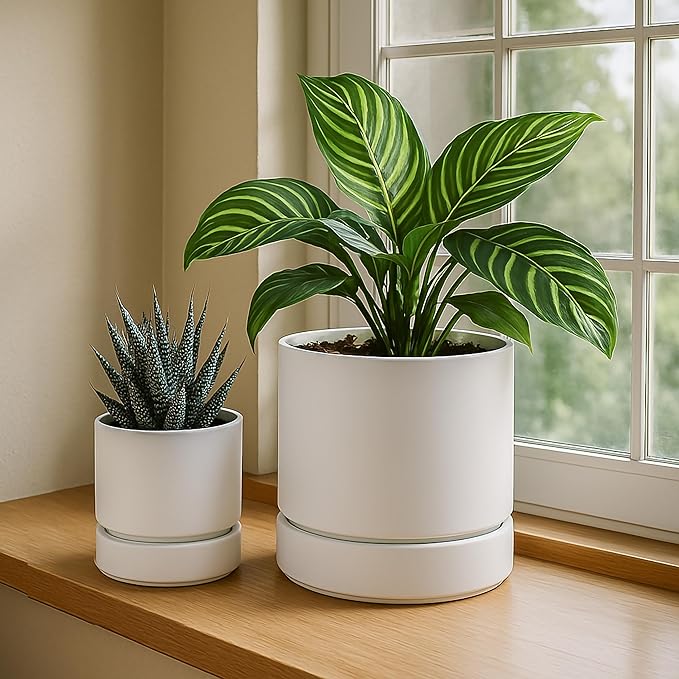 Phoenix Vine 4 Inch Planter Pot with Drainage Hole & Saucer, Deep Water Catch Tray, Straight Cylindrical Round Pot for Plants, Matte White, Pack of 3, 23-B-R-3