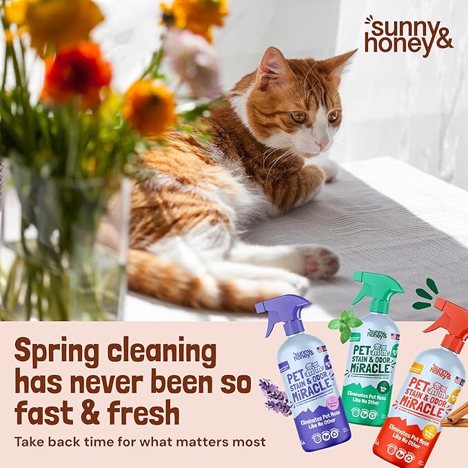 Sunny & Honey Pet Stain Remover & Enzyme Cleaner - 32 Fl Oz, Fall Spice - Carpet Deodorizer & Urine Odor Eliminator for Dog Pee, Cat Urine, Upholstery & Furniture