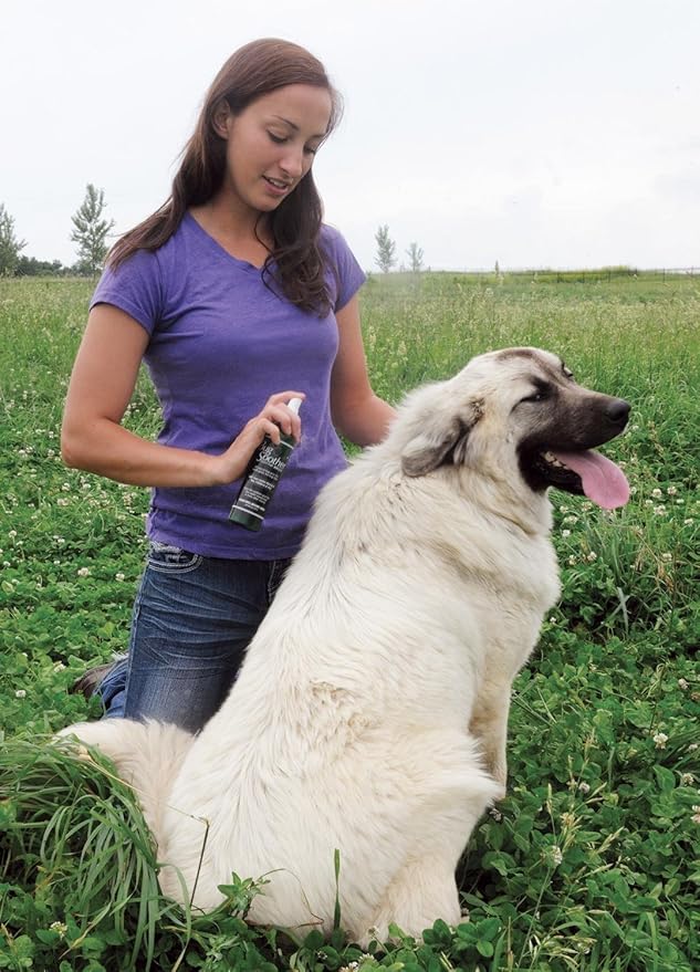 Bug Soother Refill - Natural Insect, Gnat and Mosquito Repellent & Deterrent - 100% DEET-Free Safe Bug Spray for Adults, Kids, Pets, Environment - Includes Free 1 oz. Travel Size. (16 oz.)