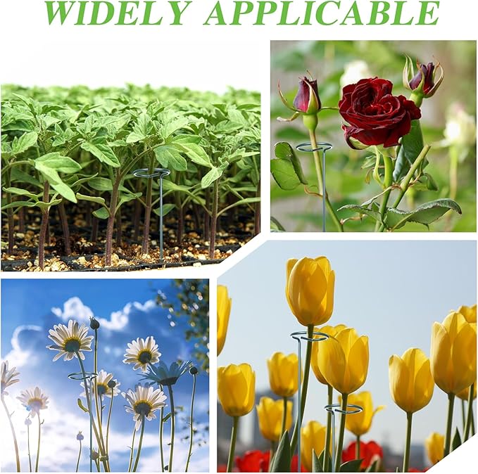 4 Set 36 Inch Plant Stakes Tall, Plant Support Stakes for Indoor or Outdoor, Flower Stake and Supports Three Sizes(12 or 24 or 36 Inch) for Flowers Tomato Amaryllis Lily Peony Rose