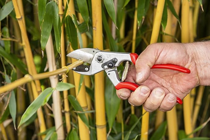 FELCO F31 Pruning Shears – 8.3" Swiss-Made Garden Clippers with Anvil Blade for Dry/Hard Wood | Hand Pruner for Gardening | Garden Tool Cutter with Aluminum Handle, Carbon Steel Blade, High-Torque Cut