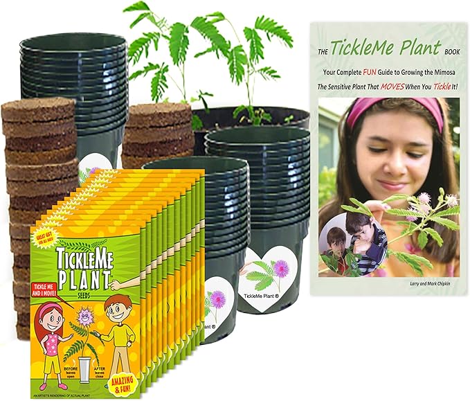 TickleMe Plant Classroom or Homeschool Science Fun Planting Party Kit – for 30 Students – Grow a Sensitive Plant That Reacts to Touch – Includes Activity Book and Seeds for Kids to Plant