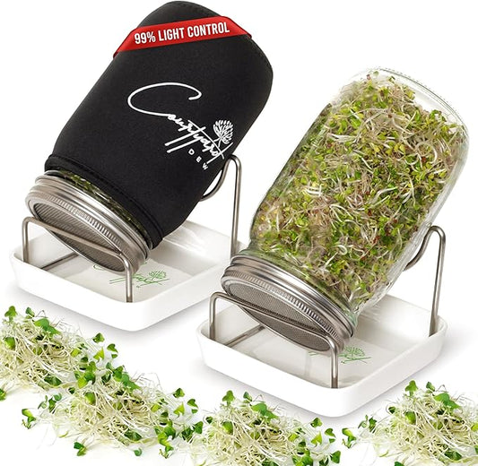 Sprout Growing Kit – Green Onion Regrower, 2 Wide-Mouth Mason Jars with Screen Lids, Blackout Sleeves & Ceramic Tray – Easy Microgreens Growing Kit for Alfalfa, Broccoli, Mung Beans