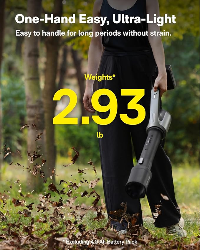 HOTO Leaf Blower with 100w USB-C Fast Charger and Battery, Handheld Electric Leaf Blower for Lawn Care, Snow, Yard, Leaves, Dust