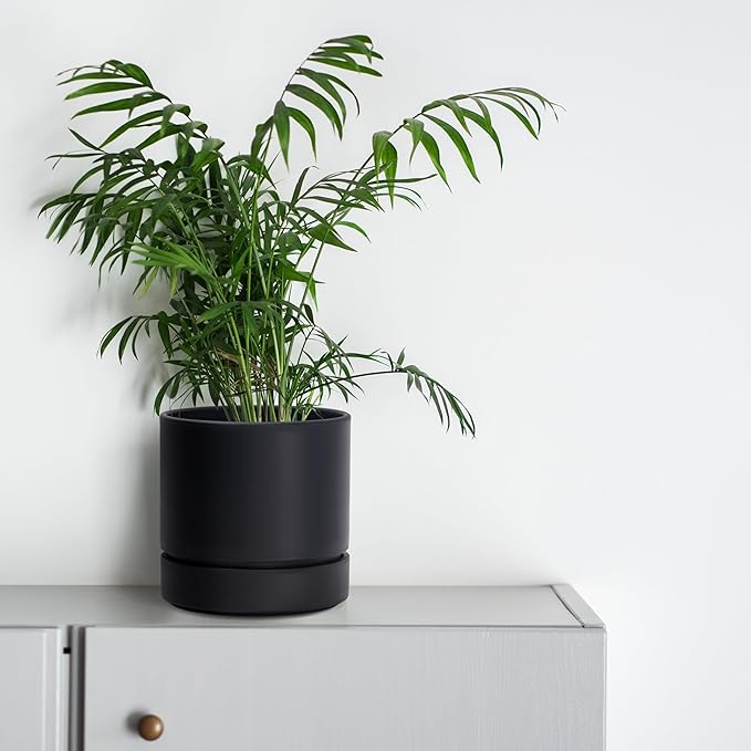 Phoenix Vine 6 Inch Planter Pot with Drainage Hole & Saucer, Deep Water Catch Tray, Straight Cylindrical Round Pot for Plants, Matte Black, Pack of 3, 23-C-S-3