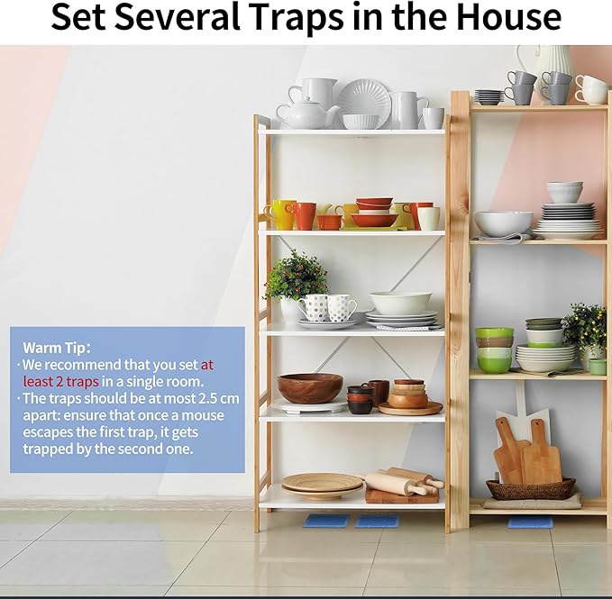 LULUCATCH Mouse & Insect Glue Traps, 10 Pack Pre-Scented Sticky Mouse Traps Indoor for Home, Non-Toxic Glue Boards for Mice, Cricket, Roach, Lizard, Bug, Pet Safe for House & Garage