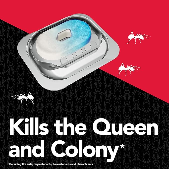 Raid Max Liquid Ant Bait; Kills Ants Where They Breed, for Indoor and Outdoor Use; 4 Bait Stations