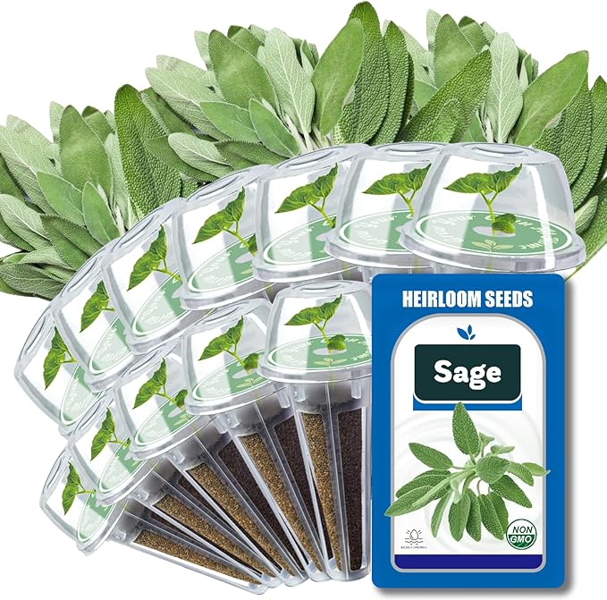Sage Seed Pods for All Hydroponics Growing Systems, 12 Pods Herb Kit with 200+ Seeds of Sage, Grow Your Own Herb Garden at Home