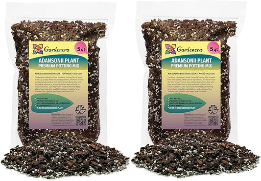 Monstera Adansonii Premium Soil Blend - 10 QT - Promote Aeration, Drainage & Nutrient Retention - (2 Bags of 5 Quart)