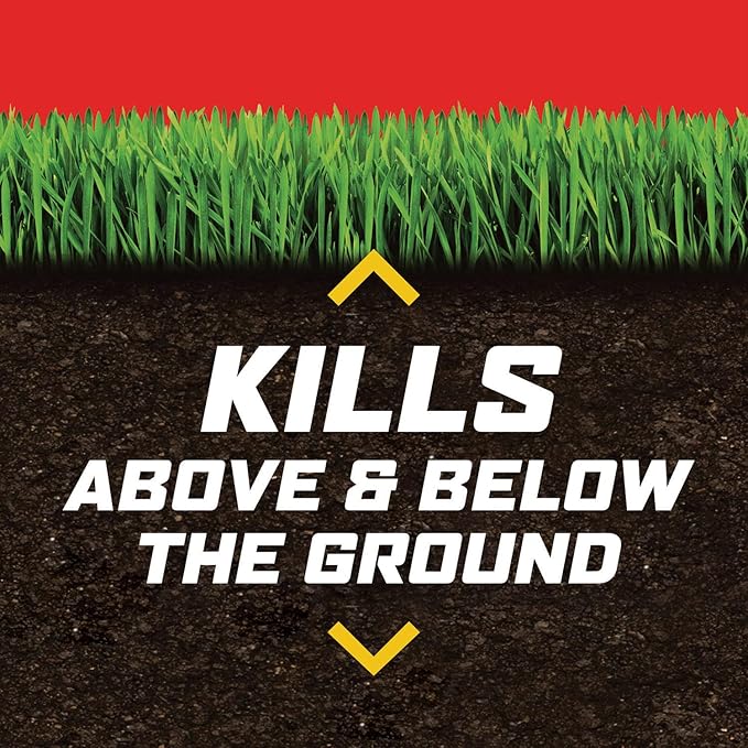 Ortho Lawn Insect Killer Granules: Treats up to 20,000 sq. ft., For Yard, Garden & Landscapes, Works on Listed Ants, Spiders, Fleas & Ticks, 20 lbs.