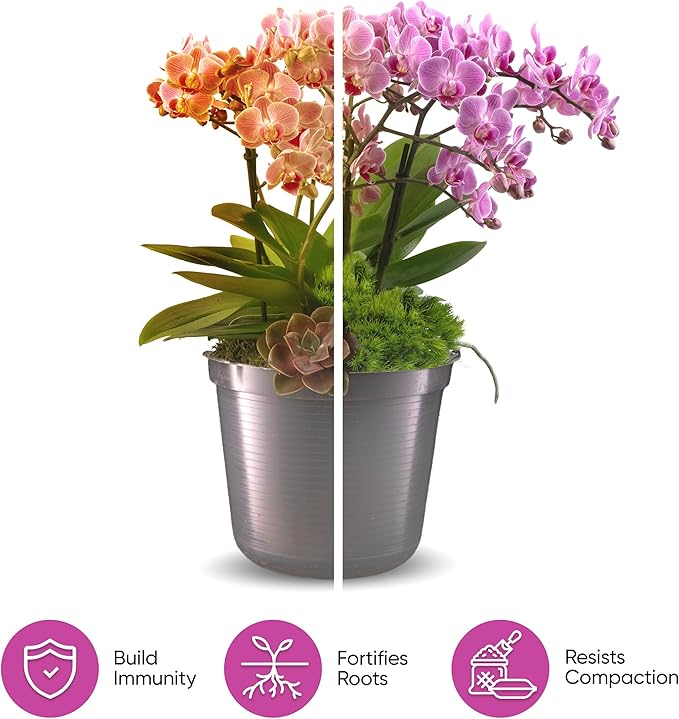 Molly's Orchid Potting Mix - Premium Gritty Soilless Orchid Mix - Chunky High Drainage vs Standard Potting Soil for Indoor Plants - Contains Bark, Coco Chips, Akadama, Pumice, Lava Rock 10 Dry Quarts