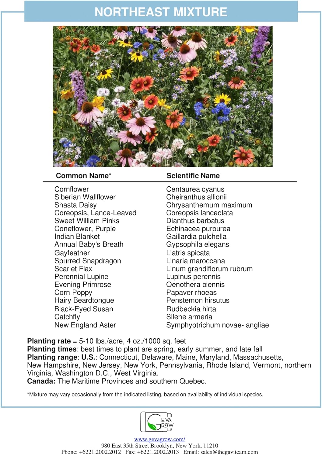 on The Go Regional Wildflower Seed Shaker - Northeast USA Wildflowers - 100% Pure Seed - Organic, Non-GMO - 21 Wildflower Variety Seeds of Annual & Perennial, 8oz