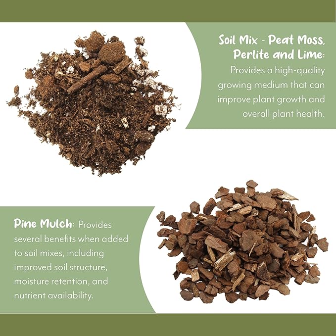 Fern Plant Potting Soil Mix (8 Quarts), Custom Hand Blended Mixture for Indoor/Outdoor Container Gardening