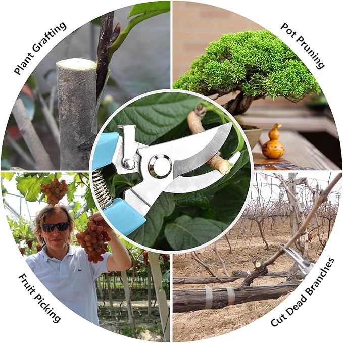 Garden Scissors for Plant, Tip Pruning Shears for Cutting Flowers, Trimming Plants, Bonsai and Fruits Picking (Blue Bypass Blade Pruner)