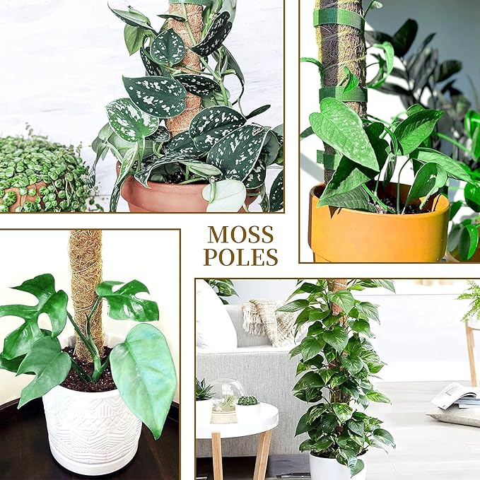 Decoroca 48.81 Inches Coir Totem Pole - 4 Pcs 16 Inchs Moss Pole Plant Stick with 100 FT Garden Twist Ties, for Monstera Plant Creepers Plant Support Extension, Climbing Indoor Plants