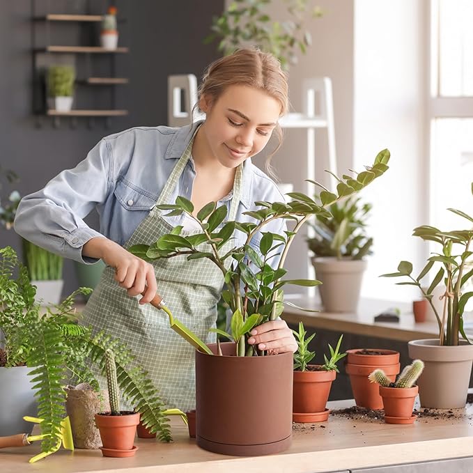 D'vine Dev 6 Inch Rust Terracotta Plant Pot with Drainage Hole and Saucer, Round Cylinder Planter Pot for Indoor Plants, Set of 2, 40-V-C-2