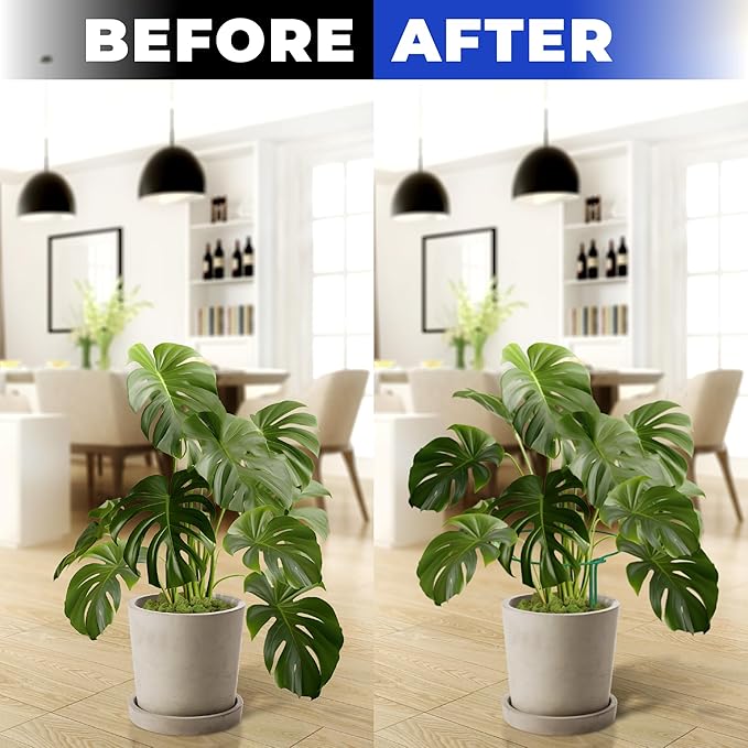 K-Brands 12 Pack Plant Support Stakes – Heavy-Duty Half Round Peony Support Ring and Cage for Indoor and Outdoor Plants – Peony, Tomato, Hydrangea, Rose 10" Wide x 16" High