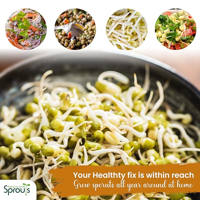 Nature Jims Premium Mung Bean Sprouting Seeds – 16 Oz – NON GMO- Resealable Bag for Longer Freshness – Rich in Vitamins, Minerals, Fiber