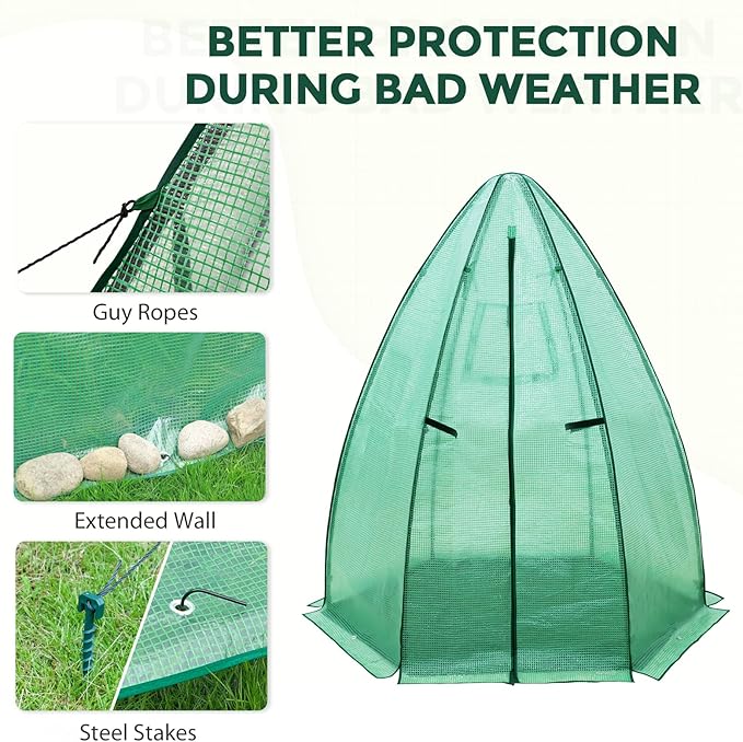 EAGLE PEAK Portable Mini Dome Greenhouse with Zippered Door and Mesh Window, Outdoor Mini Hexagon Greenhouse Kit for Indoor Outdoor Gardening 63"x63"x72", Green PE Cover