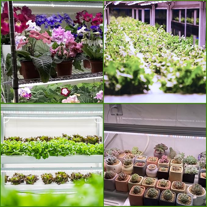 Grow Light T5 1.4Ft (2pcs x 10 Watts),5000k White Full Spectrum LED Lamp Plant Light Strips for Indoor Plant Growing,End-to-End Connectable with V-Shaped Reflector