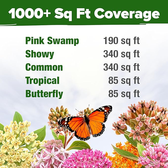 HOME GROWN Milkweed Flower Seeds - 500+ Heirloom Perennial Wildflower Seeds (5 Individual Varieties) Supports Monarch Habitat, Grows in Zones 3–10 (Asclepias syriaca)