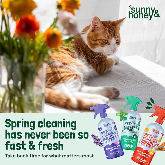 Sunny & Honey Pet Stain & Odor Miracle - 32 Fl Oz, Spring Mint Scent - Carpet Cleaner & Enzyme Spray for Carpets, Mattresses & Upholstery - Rug Shampoo & Dog Pee Cleaner & Odor Remover