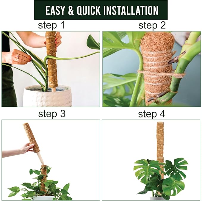 Moss Pole Pack of 2 | 50 CM Monstera Plant Support | Indoor Plant Poles | Sturdy Plant Moss Pole for Healthy Plants | Coir Pole for Plants