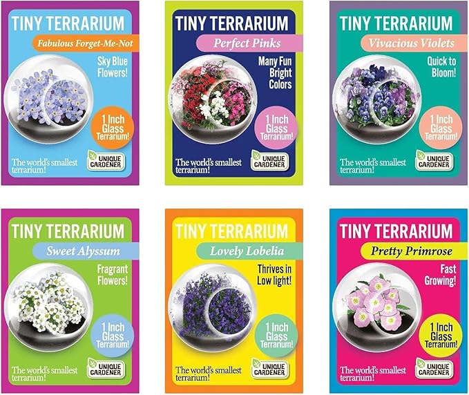 Tiny Terrarium Plant Seeds 6 Variety Pack, DIY Indoor Succulents and Live Plants for Home or Garden Planting, Assorted Flowering Pack