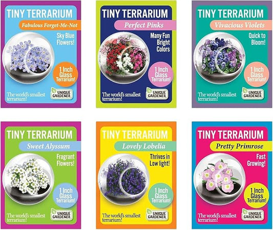 Tiny Terrarium Plant Seeds 6 Variety Pack, DIY Indoor Succulents and Live Plants for Home or Garden Planting, Assorted Flowering Pack