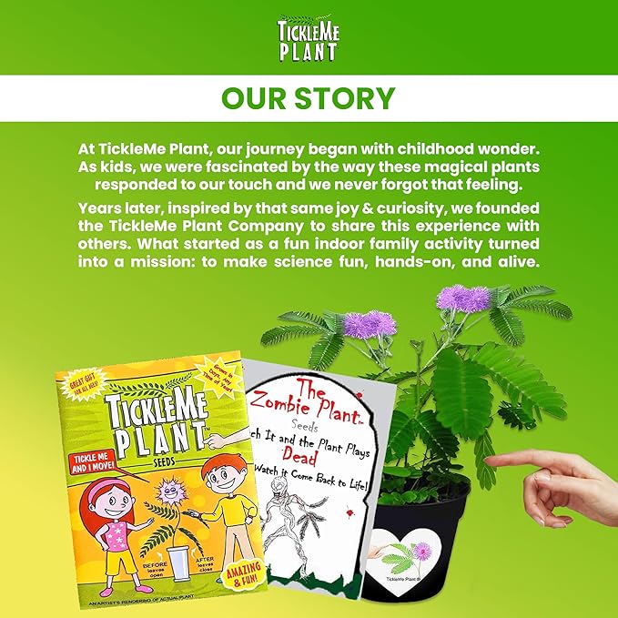 Zombie Plant Seed Packets – Grow a Live Sensitive Plant That Plays Dead When Touched! Indoor Plant Seeds & Educational STEM Activity | House Plant Seeds | Unique Garden Seeds – 2 Pack