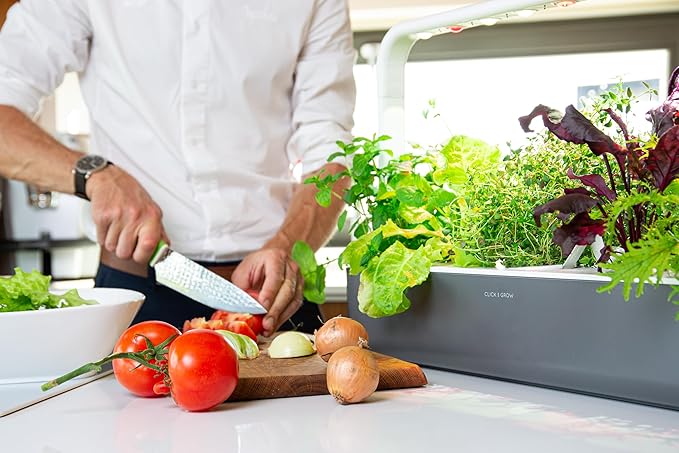 Click & Grow Indoor Herb Garden Kit with Grow Light | Easier Than Hydroponics Growing System | Smart Garden for Home Kitchen Windowsill | Vegetable & Herb Garden Starter Kit with 9 Plant pods, Gray