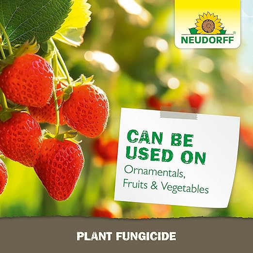 Plant Fungicide Spray, Copper Soap Fungicide for Roses, Fruits & Vegetables Control Powdery Mildew and Other Diseases and Fungus for Organic Gardening, Ready-to-Use (32 oz)