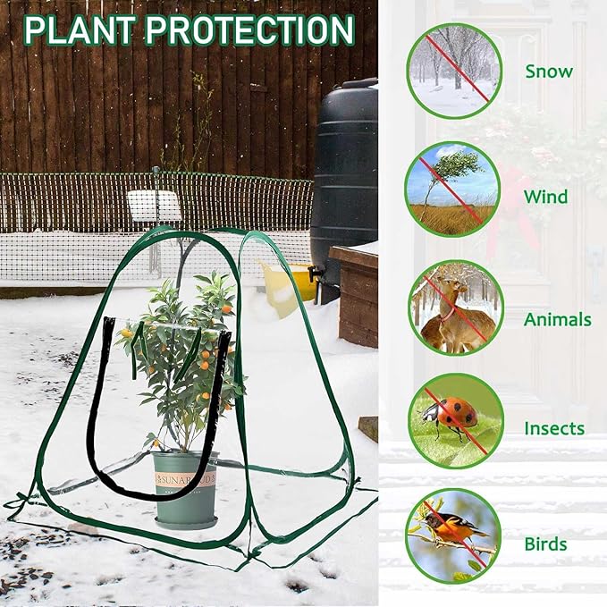 Pop Up Greenhouse Plant Cover Mini Transparent Freeze Protection Greenhouse PVC Tent with Roll-up Zipper Entry Doors for Indoor and Outdoor Gardens Protecting Plant from Cold Frost (PVC, 28x28x32in)