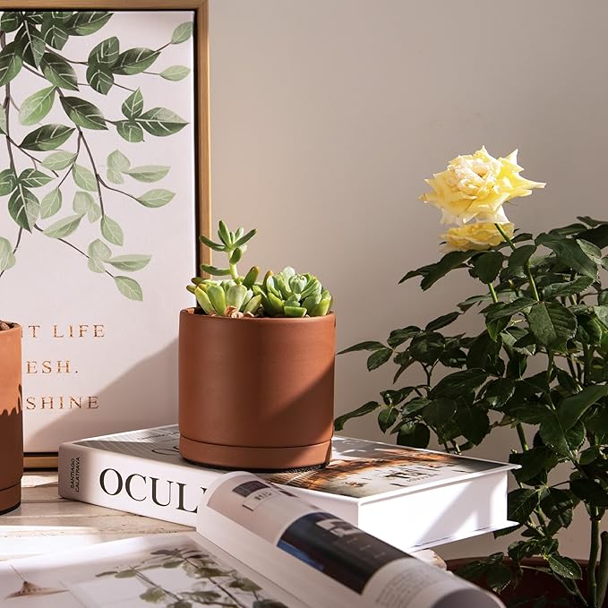 D'vine Dev 4 Inch Rust Terracotta Plant Pot with Drainage Hole and Saucer, Round Cylinder Planter Pot for Indoor Plants, Set of 2, 40-V-A-2