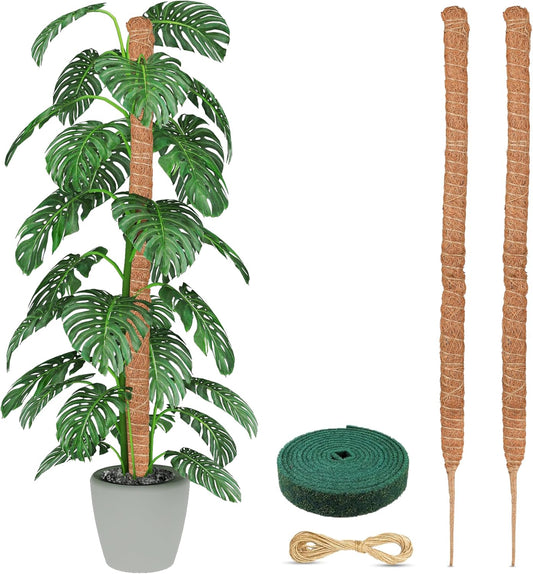 EcoNour Tall Moss Pole for Plants (2-Pack) 63-Inch | Large Monstera Plant Support for Climbing and Growth | Elevate Your Indoor Garden | Tall Plant Support for Indoor Potted Plants to Grow Upwards