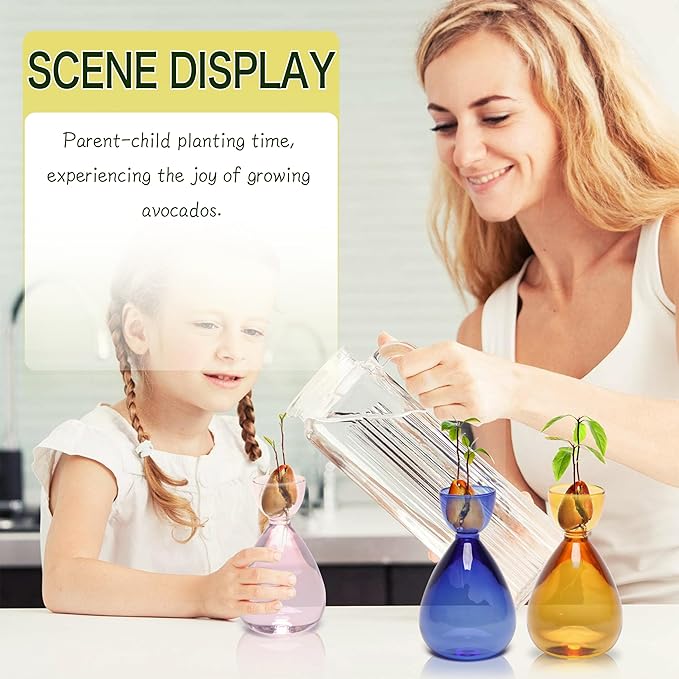 Avocado Vase Avocado Seed Starter Vases Trees Live Plants Growing kit Glass 2pc