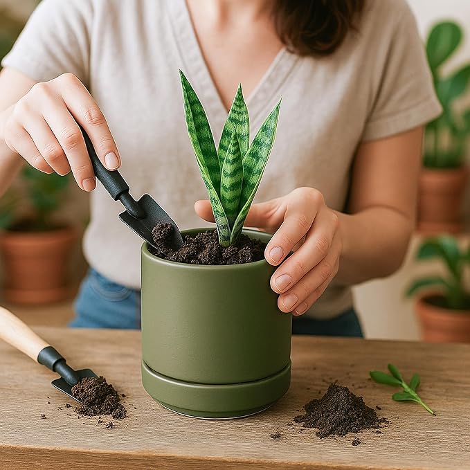 D'vine Dev Set of 4 Small Ceramic Plant Pots, 4.7 Inch Succulent Planter Pot for Plants with Drainage Hole and Saucer, Olive, 94-X-B-0