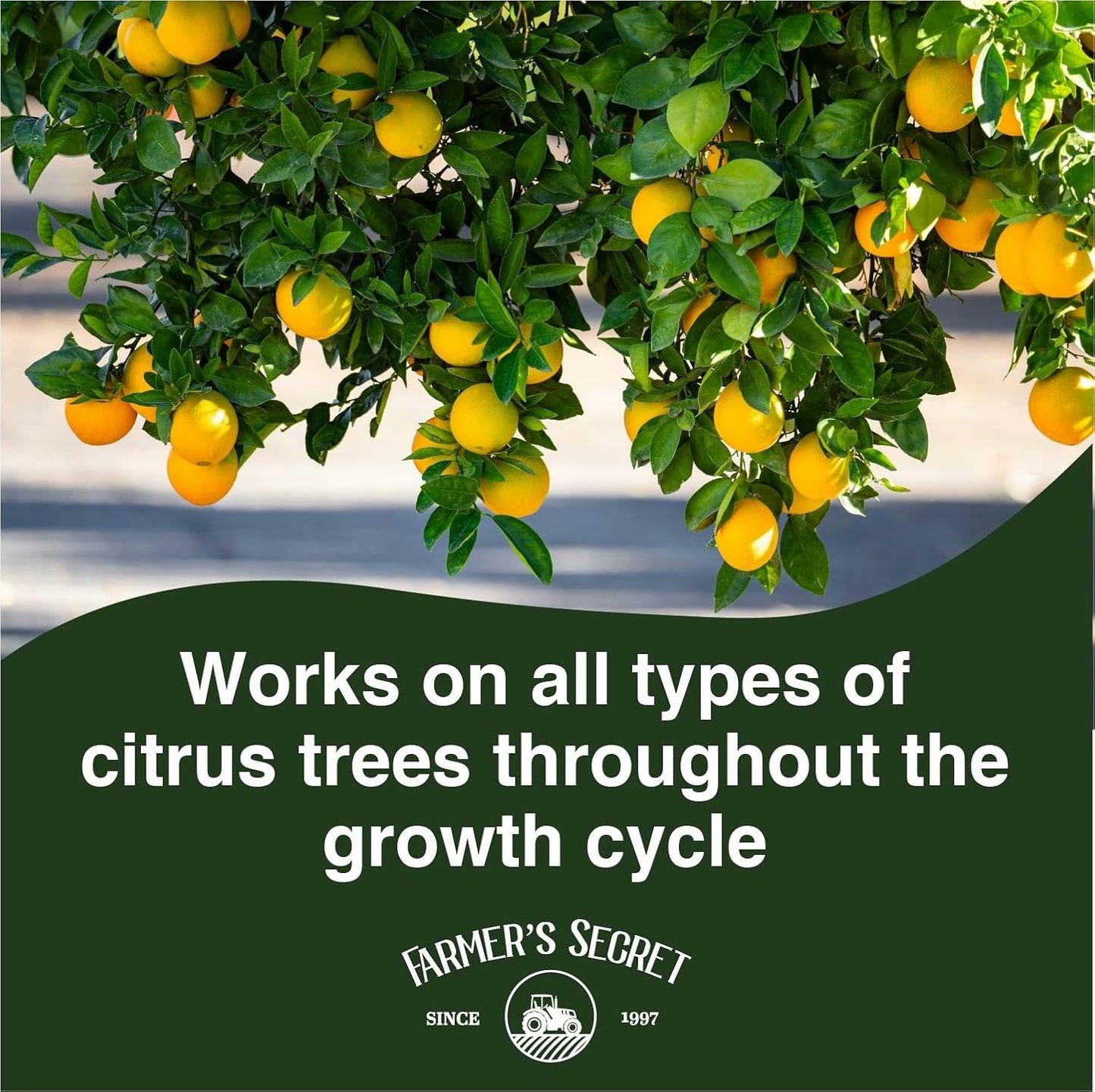 Farmer's Secret Citrus Tree Booster Fertilizer (8oz) - Super Concentrated - Formulated for All Citrus Trees Including All Types of Lemons, Limes, and Oranges - Outdoor and Indoor/Container Trees