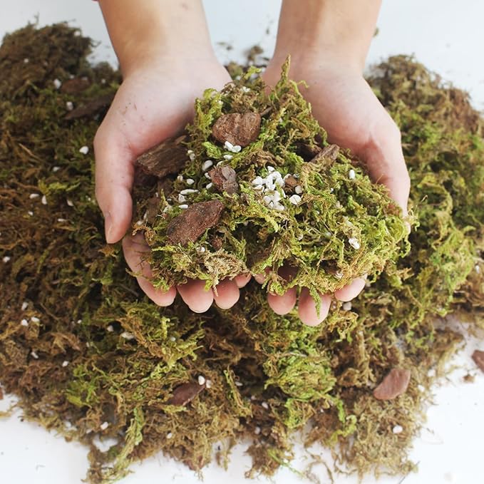 2QT Orchid Potting Mix with Moss Pine Bark Mulch Perlite & Coco Peat Natural Ingredients, Orchid Repotting Soil Medium Great for Indoor Plant Root Climbing & Expanding