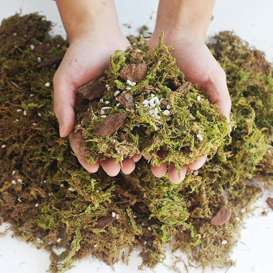 2QT Orchid Potting Mix with Moss Pine Bark Mulch Perlite & Coco Peat Natural Ingredients, Orchid Repotting Soil Medium Great for Indoor Plant Root Climbing & Expanding