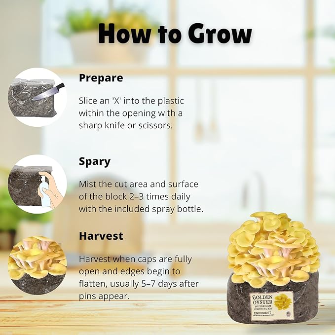 Golden Oyster Mushroom Growing Kit, Starter-Friendly & Fast Harvest Mushrooms Growing Kit, Handmade in USA, Great Gift
