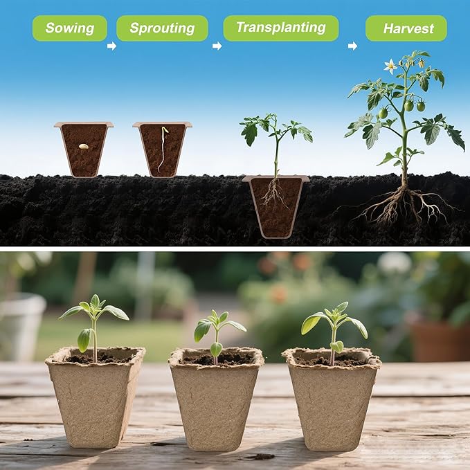 200 Cells Peat Pots, Seed Starter Trays Planting Trays for Seedlings, 20 Pack Germination Trays Peat Pot with 20 Labels