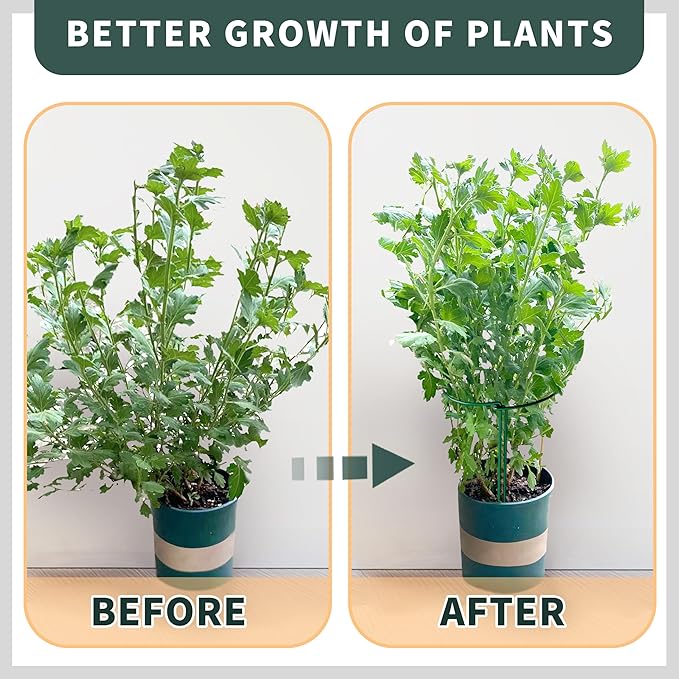 TCBWFY 10 Pack Plant Support Stakes for Peony,10" Widex16 High Heavy Duty Peony Cages and Support,Metal Peony Supports for Outdoor Indoor Plants,Plant Supports for Peony,Tomatoes,Hydrangea,Rose