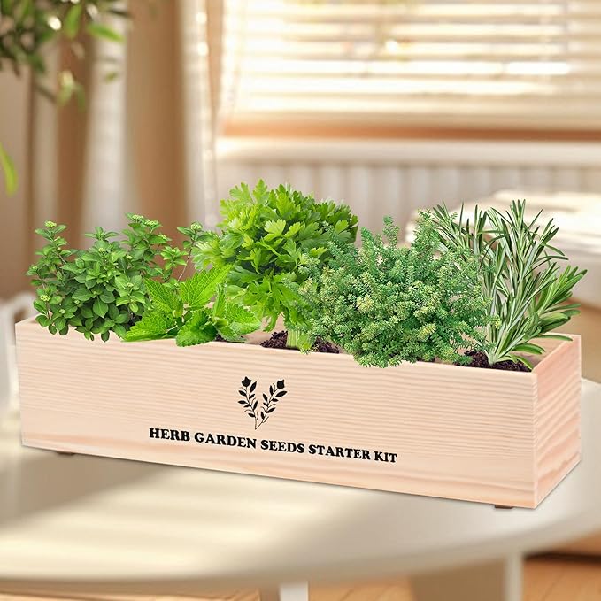 Indoor Herb Garden Starter Kit, 5 Seeds Growing into Basil, Parsley, Rosemary, Thyme, Mint, Including A Wooden Box, Soil Discs & Planters with A Gift Box, Ideal Christmas Gifts for Women